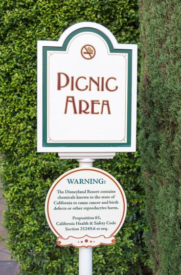 Report From The Kitchen #10 – According to Prop 65 The Disneyland Picnic Area Could Kill You (And The Wonders Of Bentonite Clay)