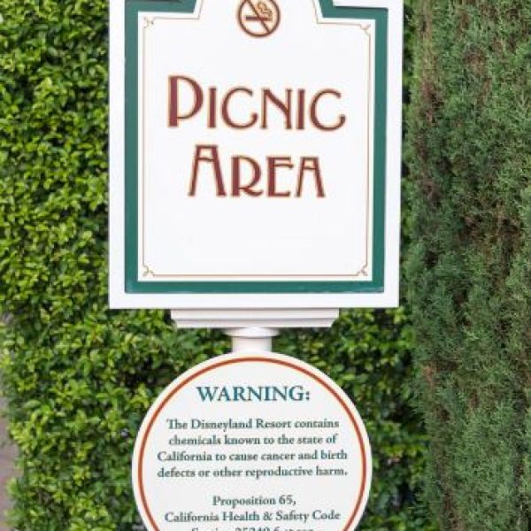 Report From The Kitchen #10 – According to Prop 65 The Disneyland Picnic Area Could Kill You (And The Wonders Of Bentonite Clay)